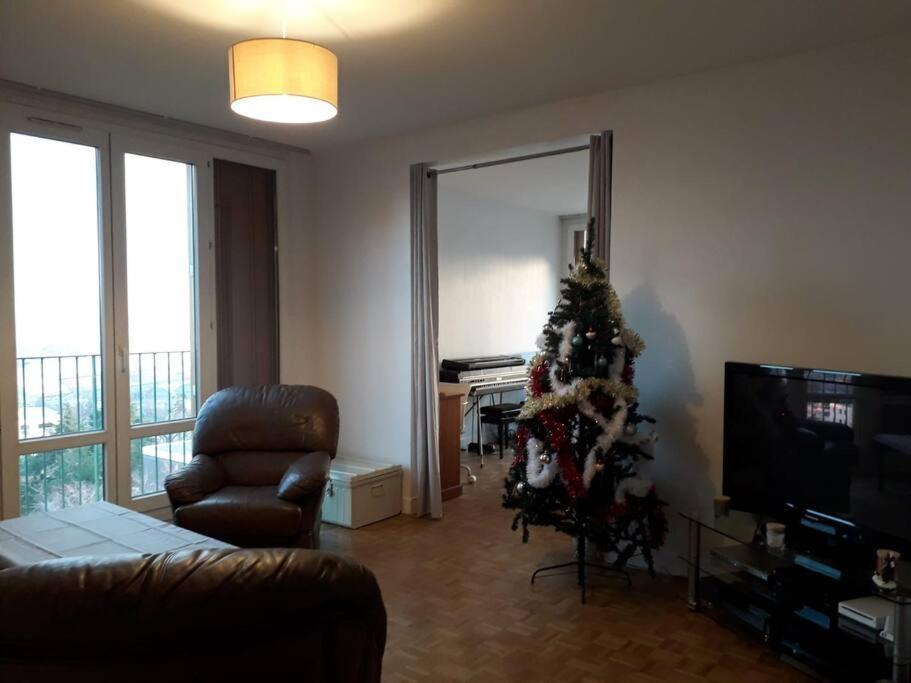 Апартаменты T4/5 Avec Vue Sur Les Alpes A 5 Minutes De Lyon La Mulatiere Экстерьер фото
